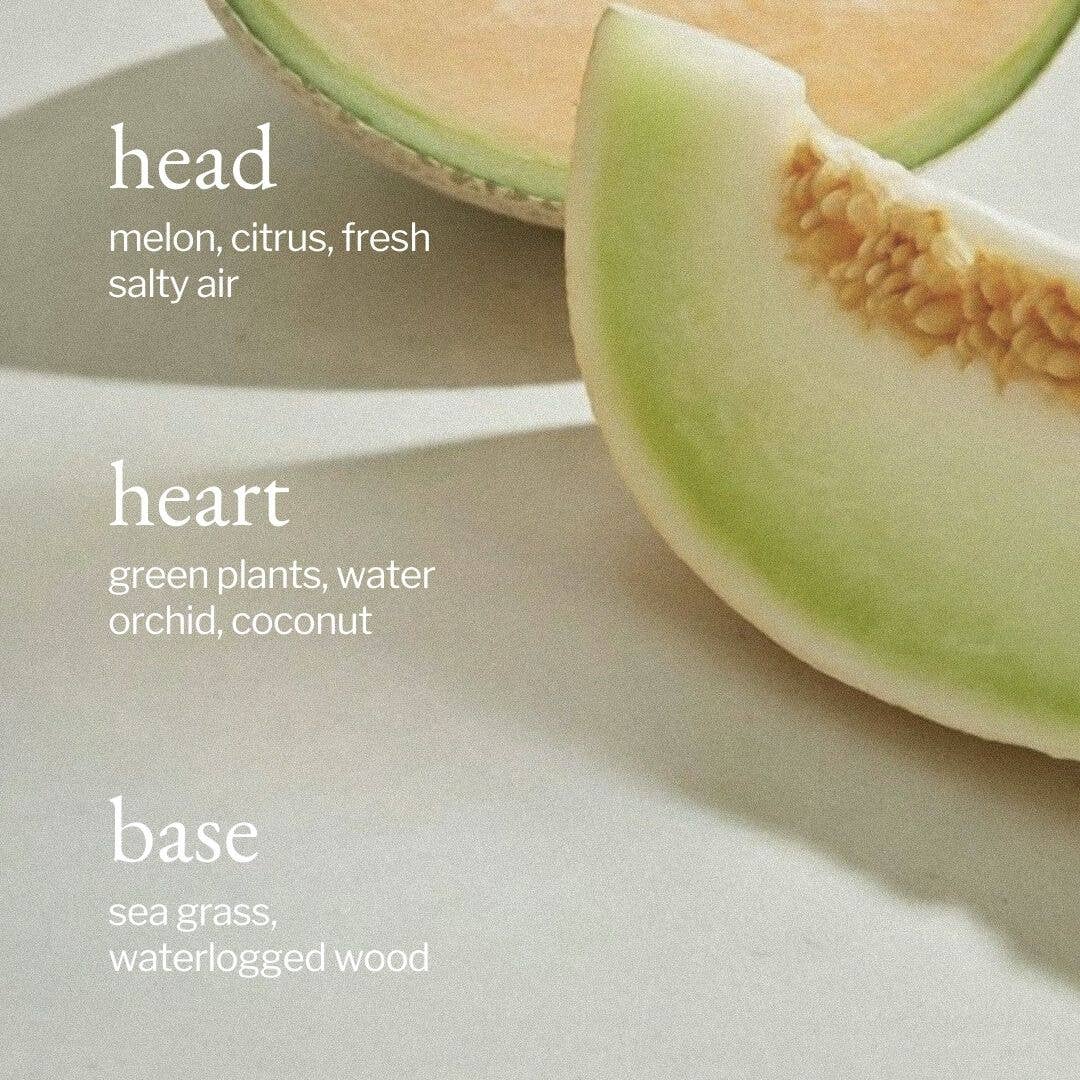 Car diffuser | Melon + Salty Air