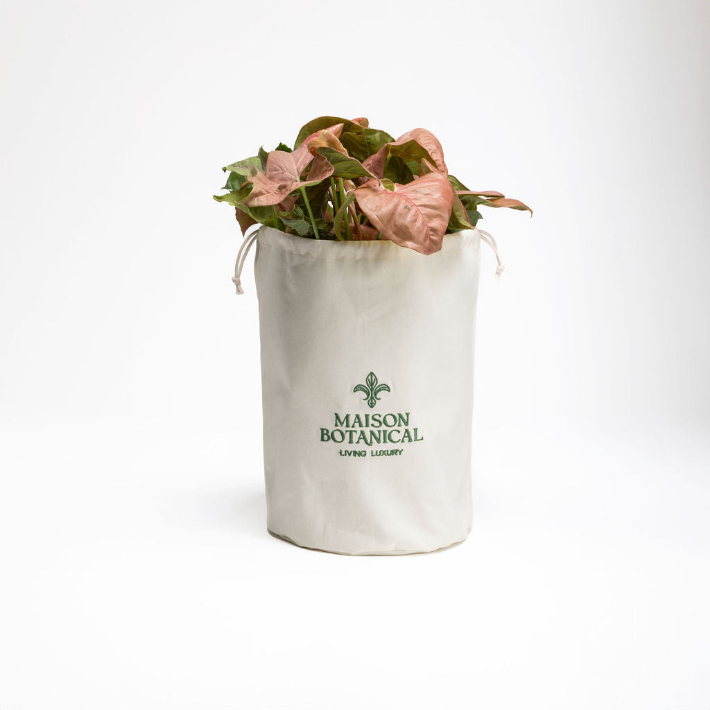 White bucket with pink leaves and 'Maison Botanical' logo on a white background