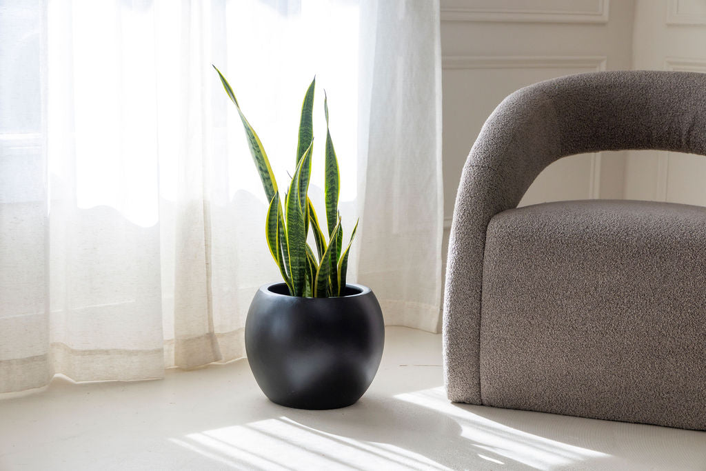 Sphere pot round bowl shaped fibrestone planter modern indoor plant pot Canada