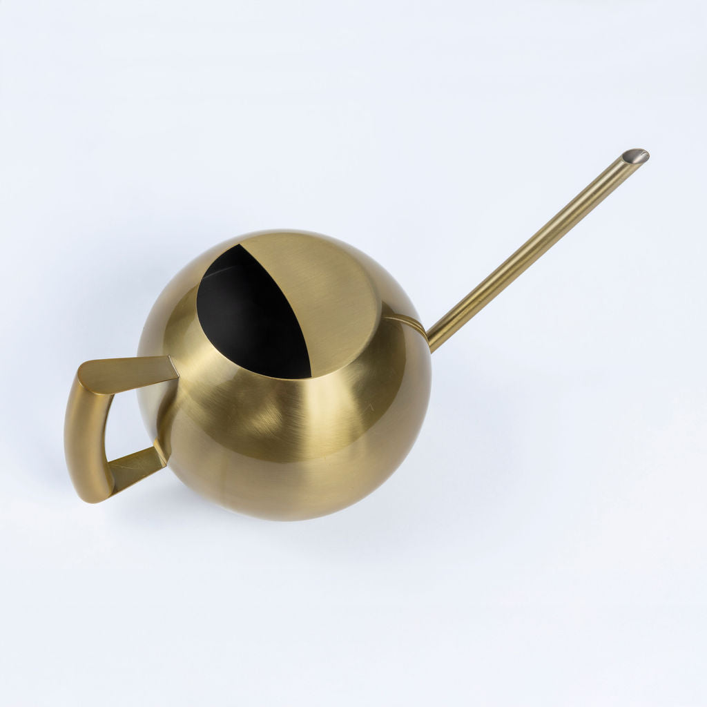 Minimalist Plant Watering Can