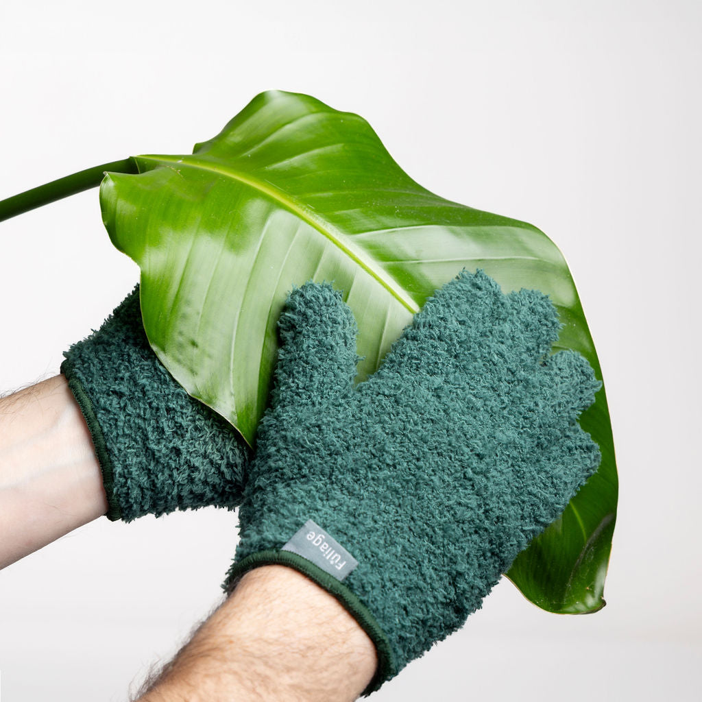 Microfiber Plant Dusting Gloves