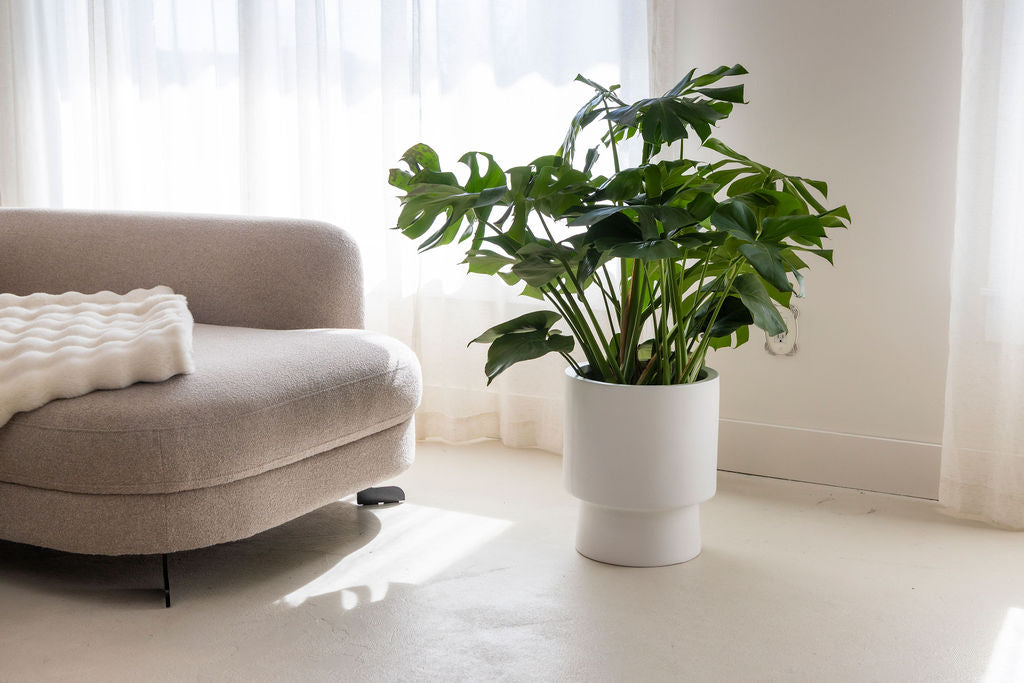 The High Rise Pot