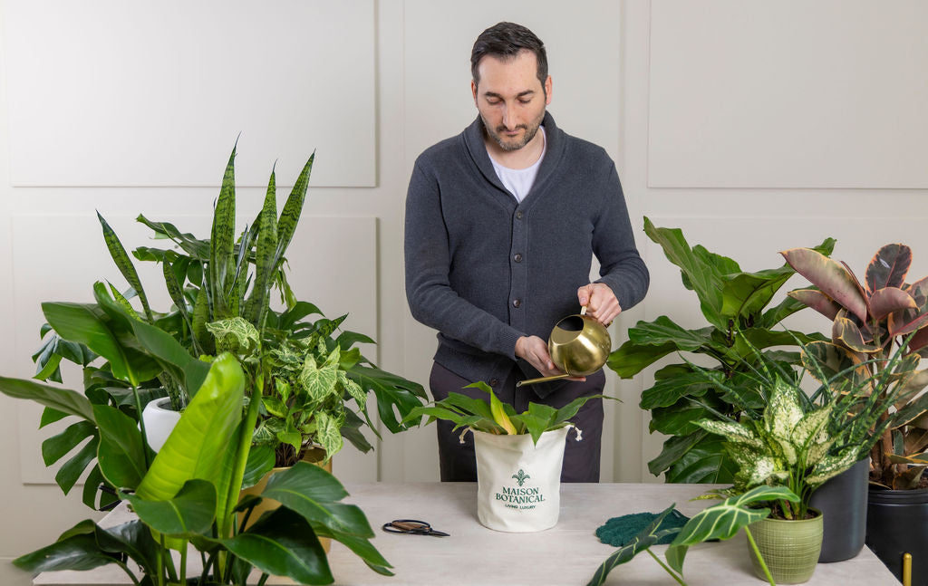 Minimalist Plant Watering Can