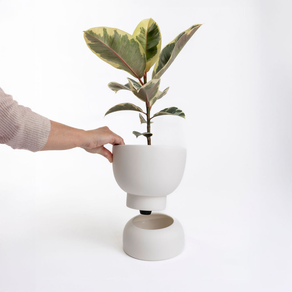 Self Watering Pot