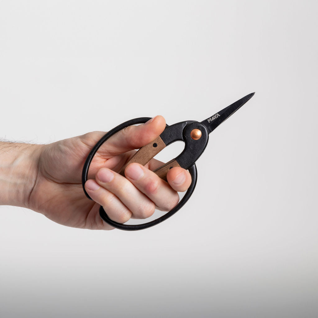Stainless Steel Snips