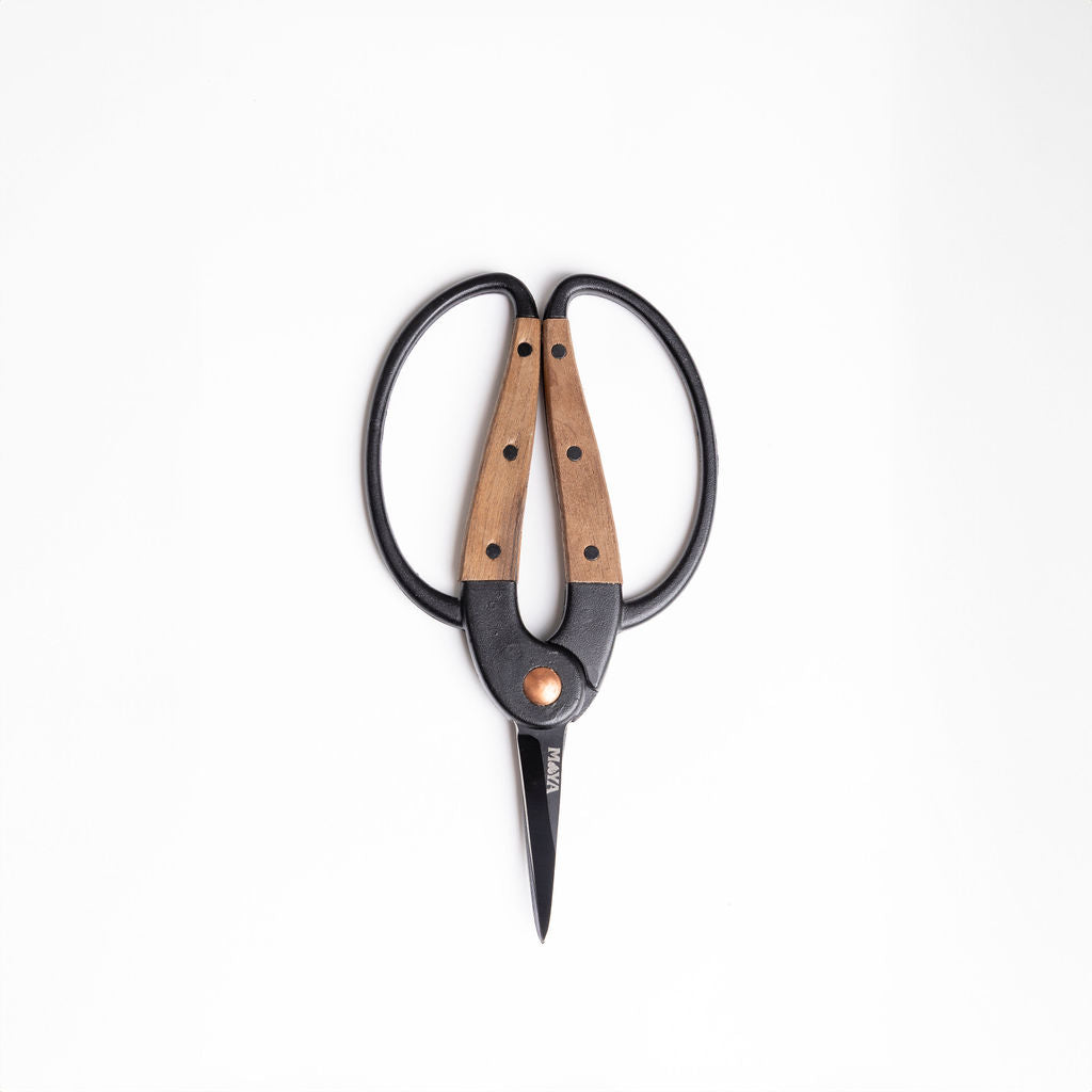 Stainless Steel Snips