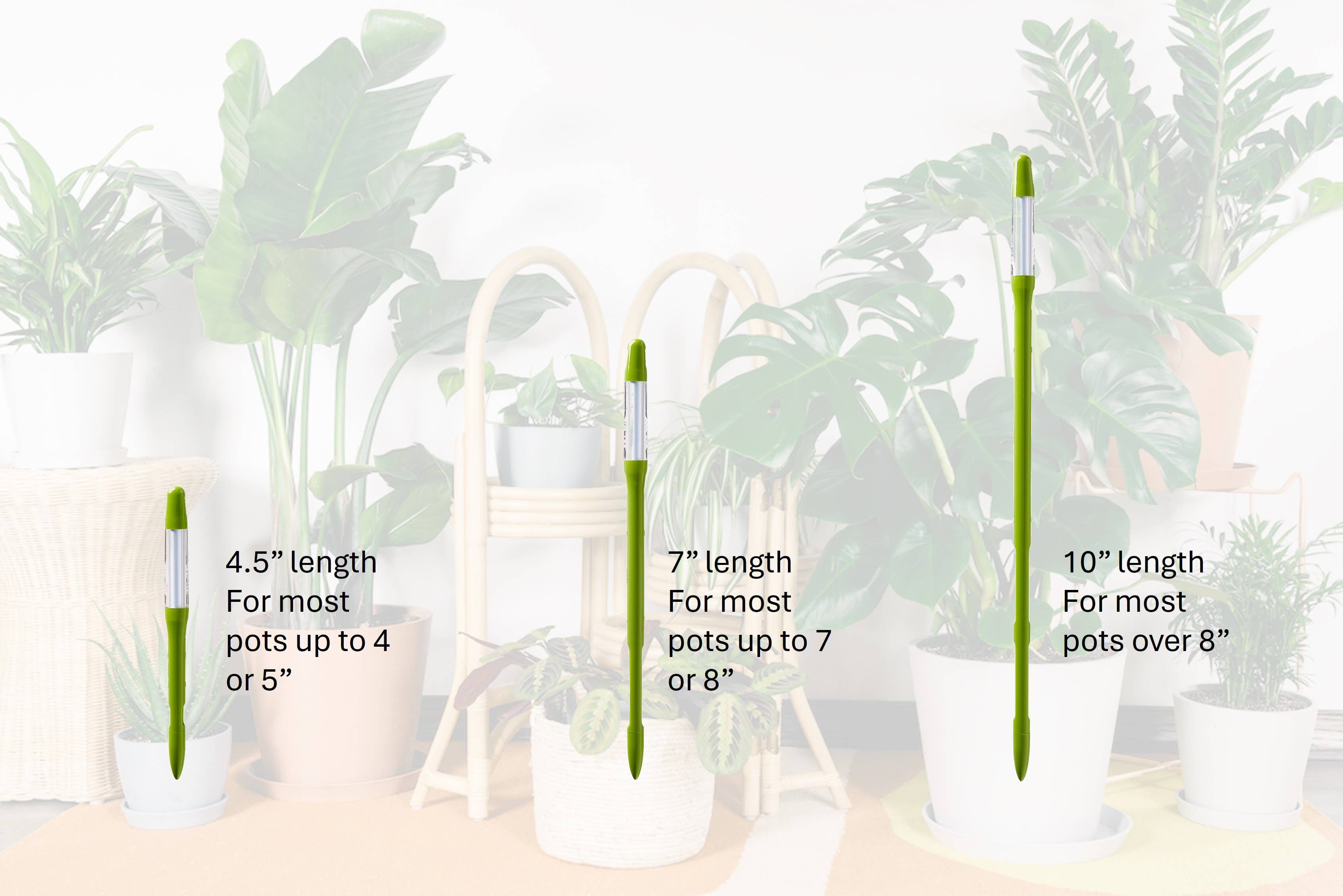 SUStee Aquameter soil moisture meter plant watering tool indoor plants Canada